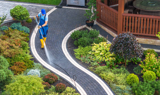 Best Pressure Washing Contractors  in Kingsley, MI