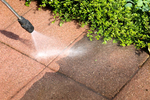  Kingsley, MI Pressure Washing Pros